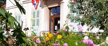 photo fleurs 1