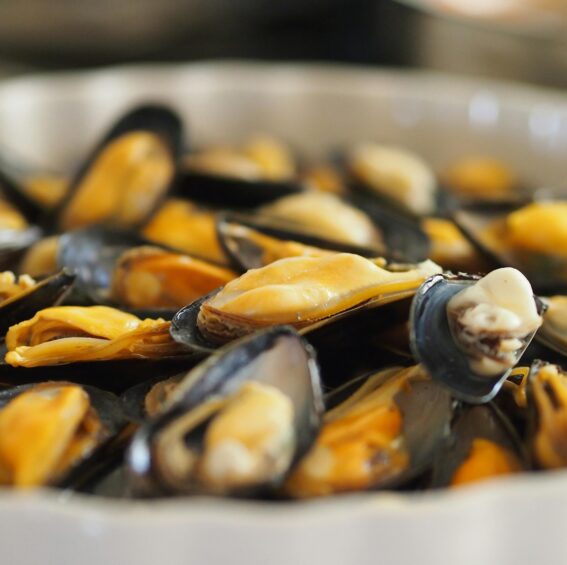 Soirée Moules Frites – L’R des Chants