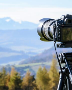 Opération « Broyage de sapins »