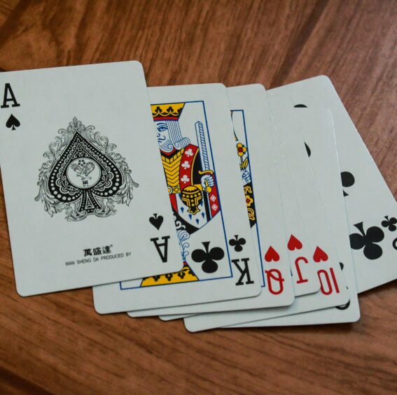 Soirée jeux de société – Les Gardiennes de Narcisse