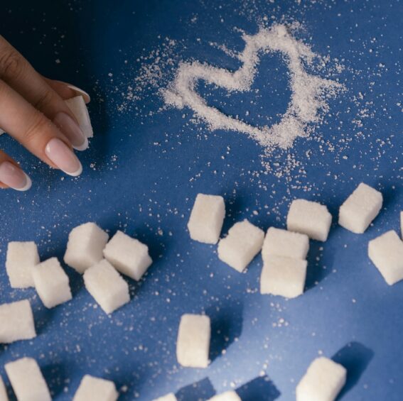 Atelier « Quand les sucres jouent à cache-cache » – UDAF