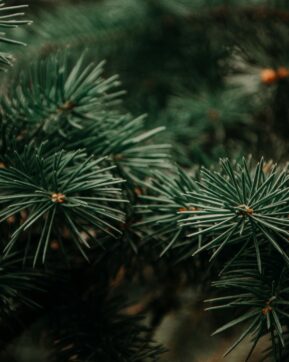 Calendrier des événements