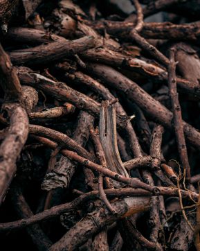 Calendrier des événements