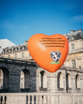 Distribution de compost