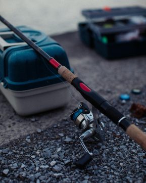 Calendrier des événements