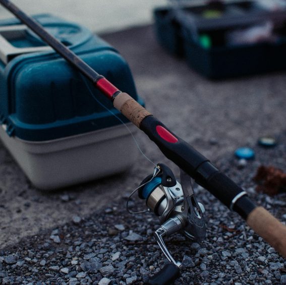 Safari truite – Le Filochon