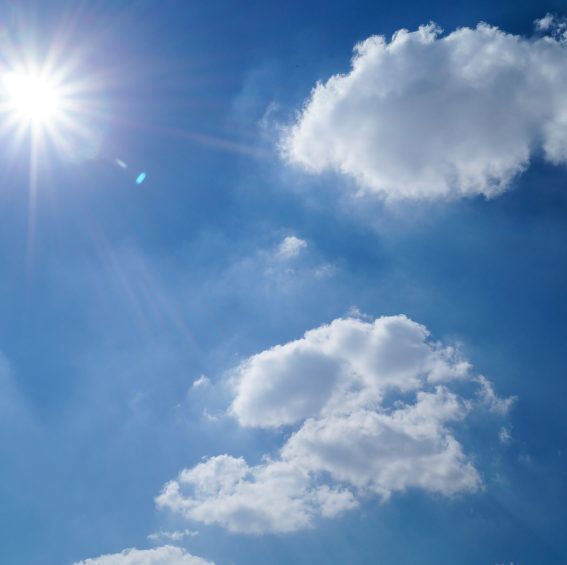 ATTENTION CANICULE